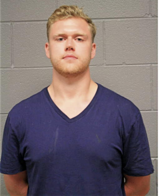 ANDREW NELSON, Cook County, Illinois