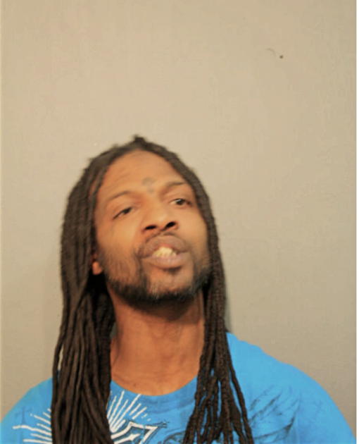 MICHAEL A NELSON, Cook County, Illinois