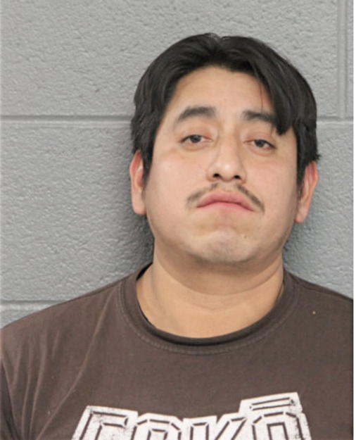 ENRIQUE OCHOA, Cook County, Illinois