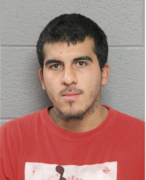 JOSE ORTIZ, Cook County, Illinois