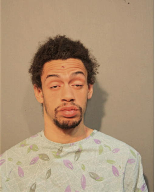 MICHAEL G PHILLIPS, Cook County, Illinois