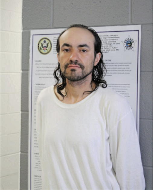 CARLOS J QUINONES, Cook County, Illinois