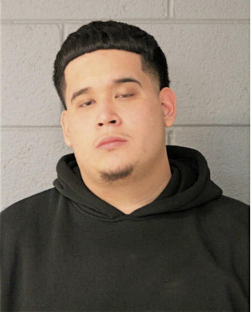 ALEXSANDER J RAMIREZ, Cook County, Illinois