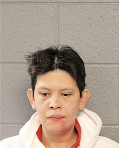 VIRIDIANA SAMANO, Cook County, Illinois