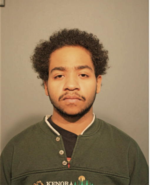 NATHANIEL R SMITH, Cook County, Illinois