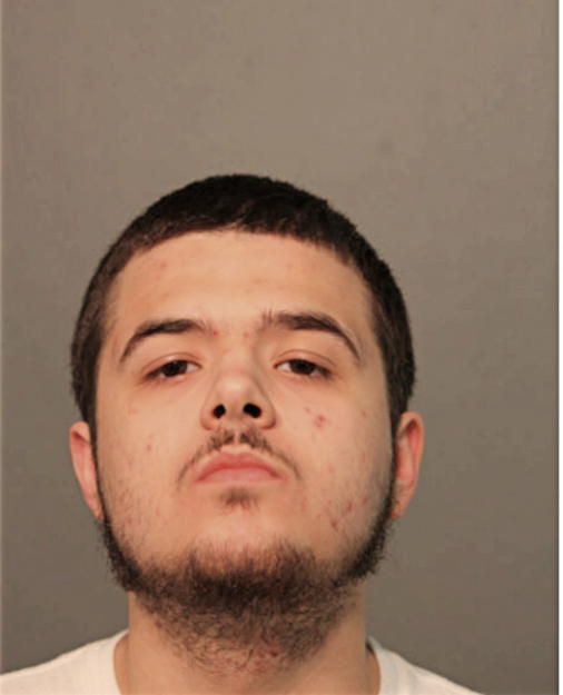 ROBERT J TAYLOR, Cook County, Illinois
