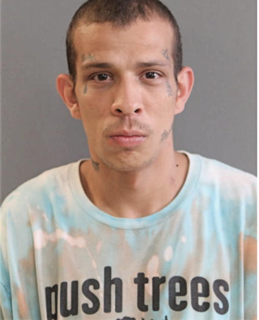 DIEGO J VARGAS, Cook County, Illinois