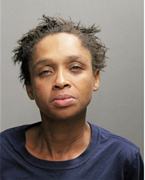 LISA M WEEKS, Cook County, Illinois