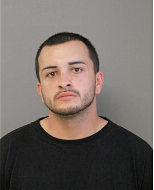 MICHAEL J ABERNATHY, Cook County, Illinois