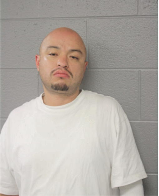 ERASMO ANDRADE, Cook County, Illinois