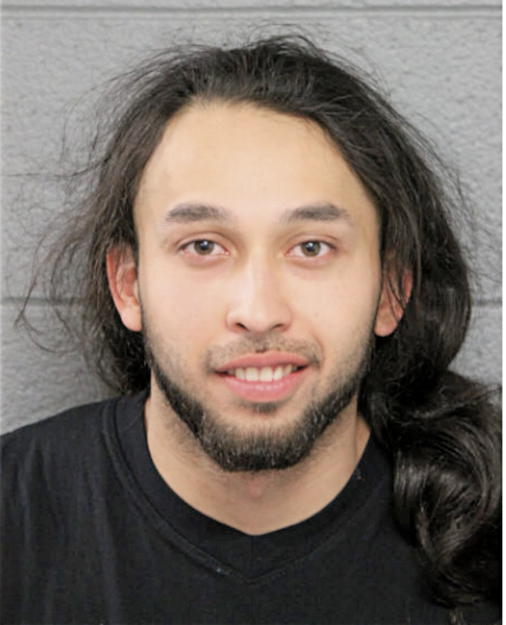 OSCAR BRAVO, Cook County, Illinois