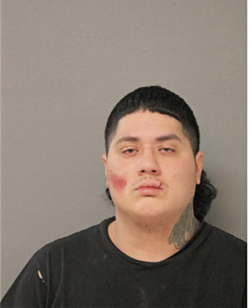 JOSE DAVID CASTILLO-ZEPEDA, Cook County, Illinois