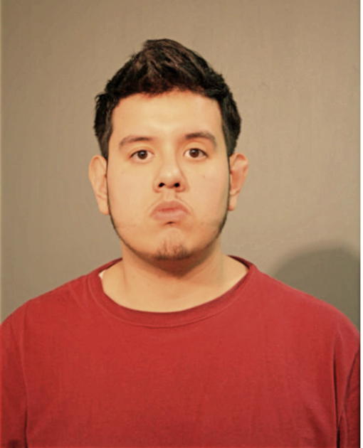 TONY CHAVEZ, Cook County, Illinois