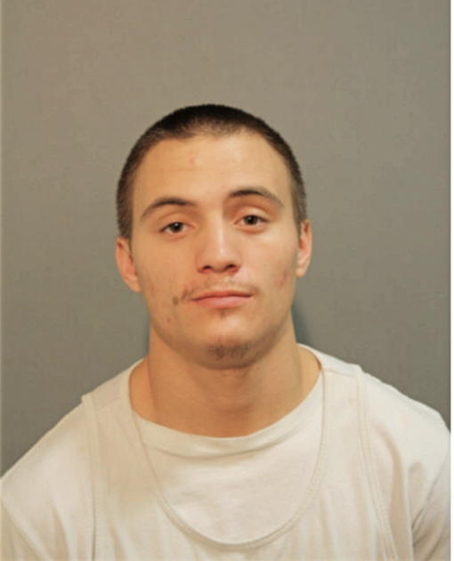 LUIS CRESPO, Cook County, Illinois