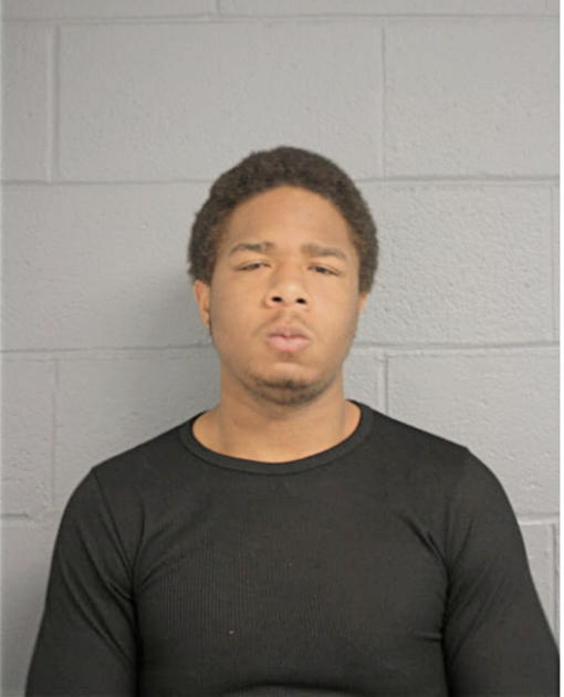 DANIEL L DIGGS, Cook County, Illinois