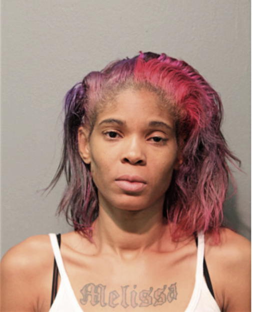 MELISSA E FIELDS, Cook County, Illinois