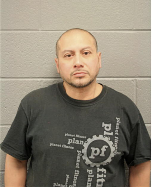 FERNANDO R FLORES, Cook County, Illinois