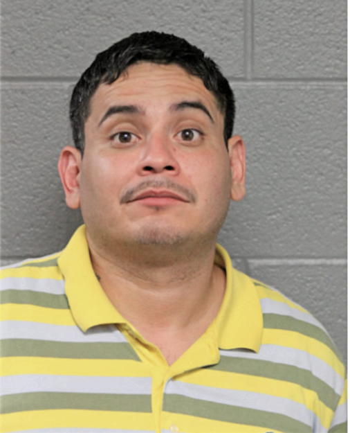 JOEL GONZALES, Cook County, Illinois