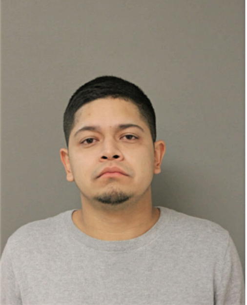 DIEGO HERNANDEZ, Cook County, Illinois