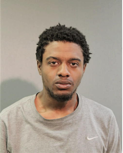 JONATHAN J HUNT-LAKE, Cook County, Illinois