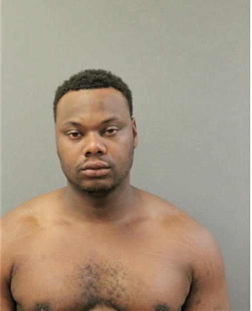 MICHAEL J JONES, Cook County, Illinois