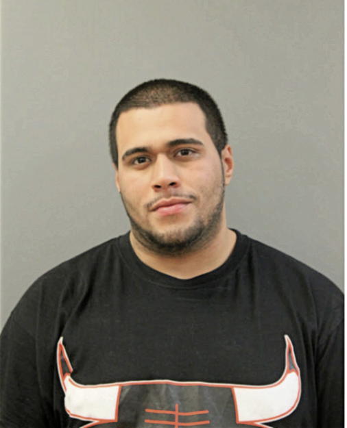 JOSE F LABOY, Cook County, Illinois