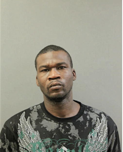 ERIC S MCNEAL, Cook County, Illinois