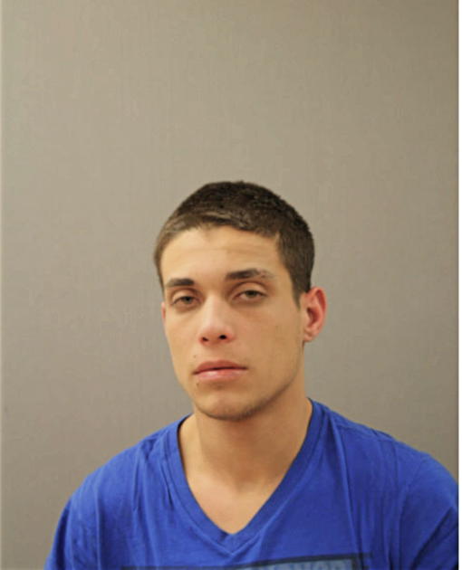 JESUS J MENDEZ-SANCHEZ, Cook County, Illinois