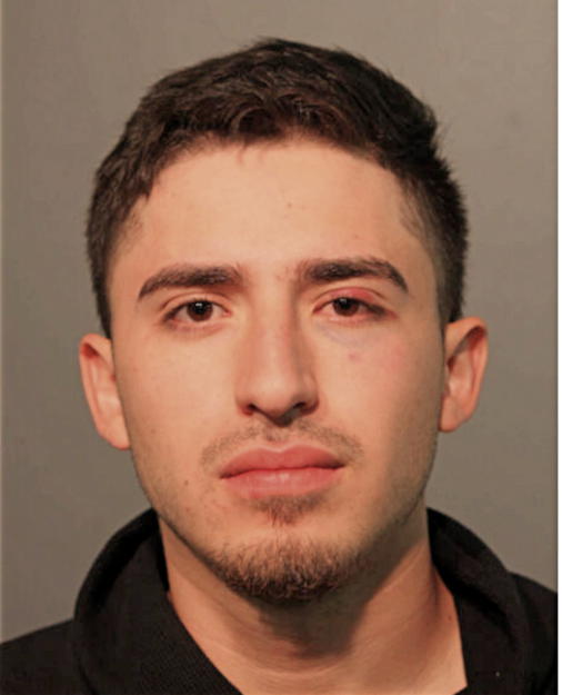 FERNAN A MORALES, Cook County, Illinois