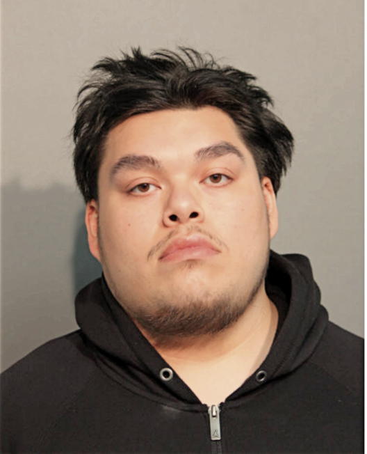 ARIC ORTIZ, Cook County, Illinois