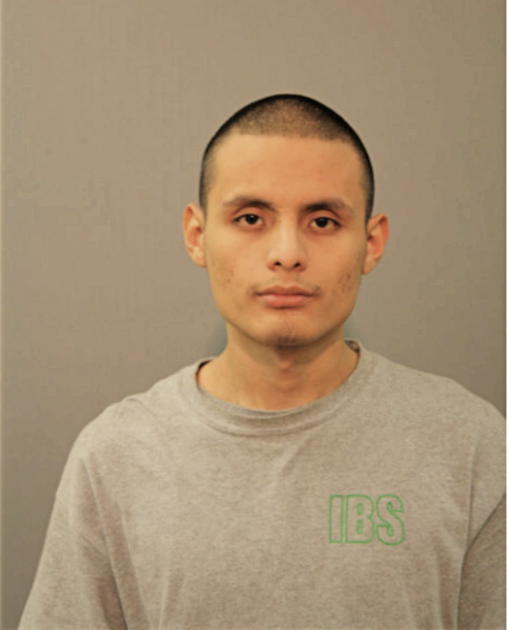 PABLO ORTIZ, Cook County, Illinois