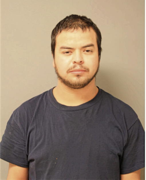 JOSE PERDOMO, Cook County, Illinois