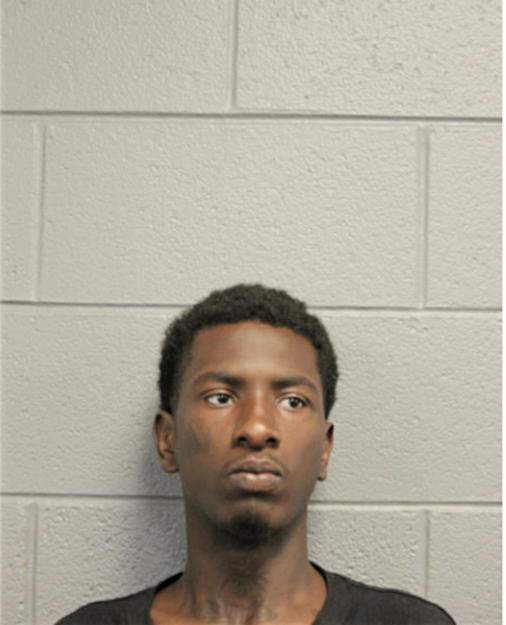 MICHAEL J RICHARDSON, Cook County, Illinois