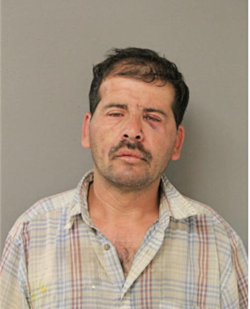 PABLO ROMO, Cook County, Illinois