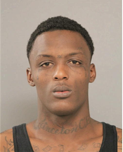 CHRISTOPHER D WATSON, Cook County, Illinois