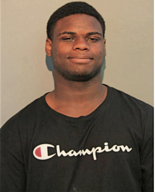 MICHAEL J WILLIAMS, Cook County, Illinois