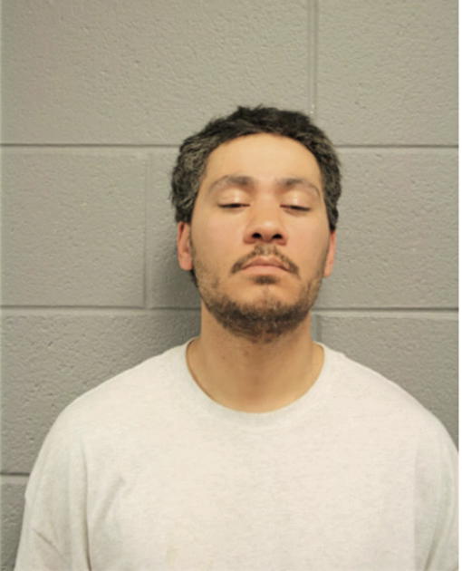 STEVEN F WILLIAMS, Cook County, Illinois