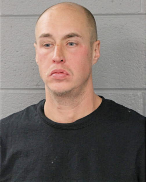 BRANDON W WYATT, Cook County, Illinois