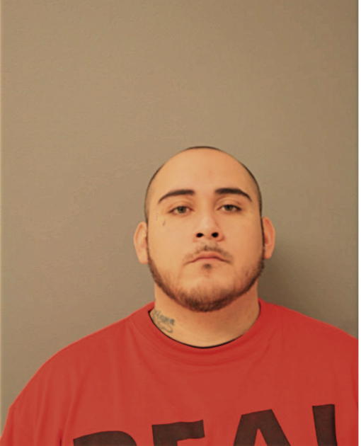 LUIS BARRERA, Cook County, Illinois