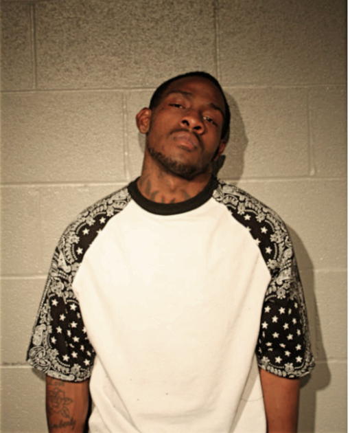 TERRELL J BOMMON, Cook County, Illinois