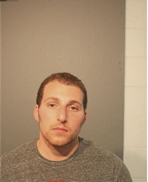 VINCENT S BRUNO, Cook County, Illinois