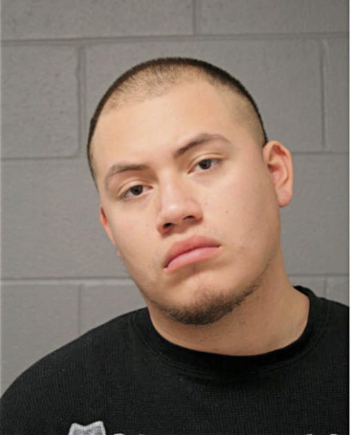 MIGUEL CAMARILLO, Cook County, Illinois