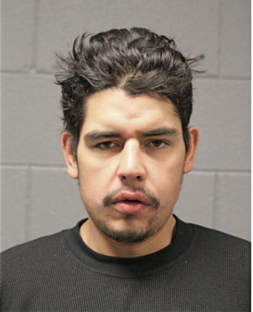 EDGAR I DIAZ-DELEON, Cook County, Illinois