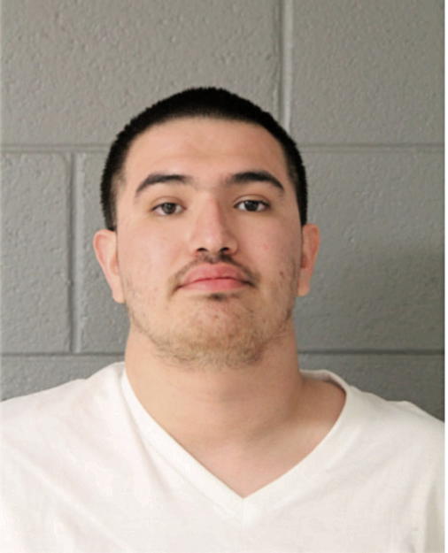 MARIO DOMINGUEZ, Cook County, Illinois