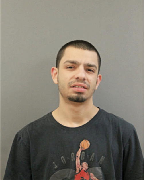 MARIO FLORES, Cook County, Illinois