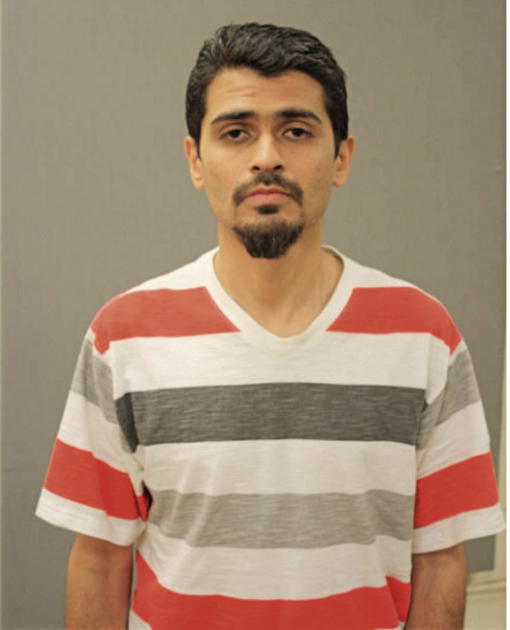 FELIPE A GUZMAN, Cook County, Illinois