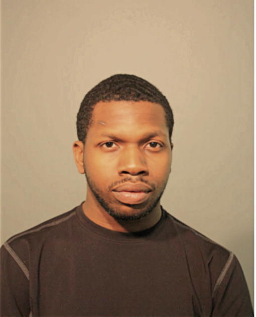 BRIAN K INGRAM, Cook County, Illinois