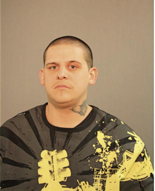 MATTHEW A NIEHOFF, Cook County, Illinois