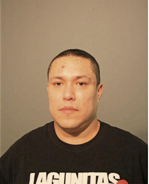 DAVID PLATA, Cook County, Illinois