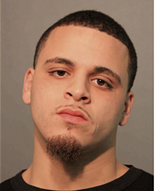 AARON L RODRIGUEZ, Cook County, Illinois